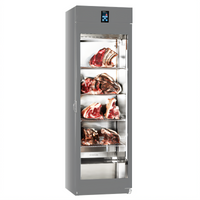 Stagionello Dry Age 2.0 Meat Curing Cabinet with Hinged Glass Door, 28.3 Cu. Ft., 220-240V