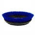 Thumbnail image #1 for 12-Inch Blue Polypropylene Scrub Brush