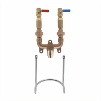 Wall-Mounted 3/4 Inch NPT Mixing Valve Assembly with Check Valves, Ball Valves, and Stainless Steel Hose Rack