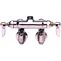 T&S Brass Wall-Mount Double Pantry Sink Mixing Faucet, Less Nozzle