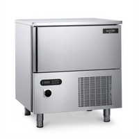 Gemm Commercial Reach-In Blast Chiller/Freezer, Single Section, Self-Contained, 5-Pan, 208-230V
