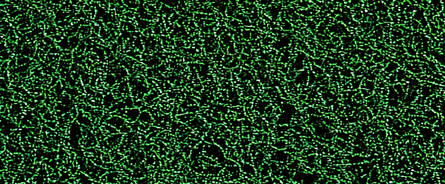 Product image #1 for Disco Katydid™ Heavy-Duty Emerald Utility Pad, 4-1/2 x 10 Inches