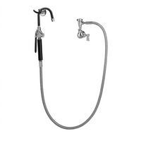 Fisher Wall-Mount Pot Filler Faucet with Single Control Valve, 60-Inch Hose, and Vacuum Breaker