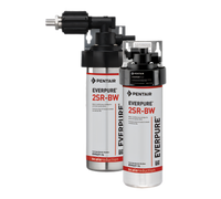Everpure 2SR-BW QL2 Scale Inhibitor Feeder and Deliming System, 6.0 GPM, 3/8 Inch Inlet/Outlet