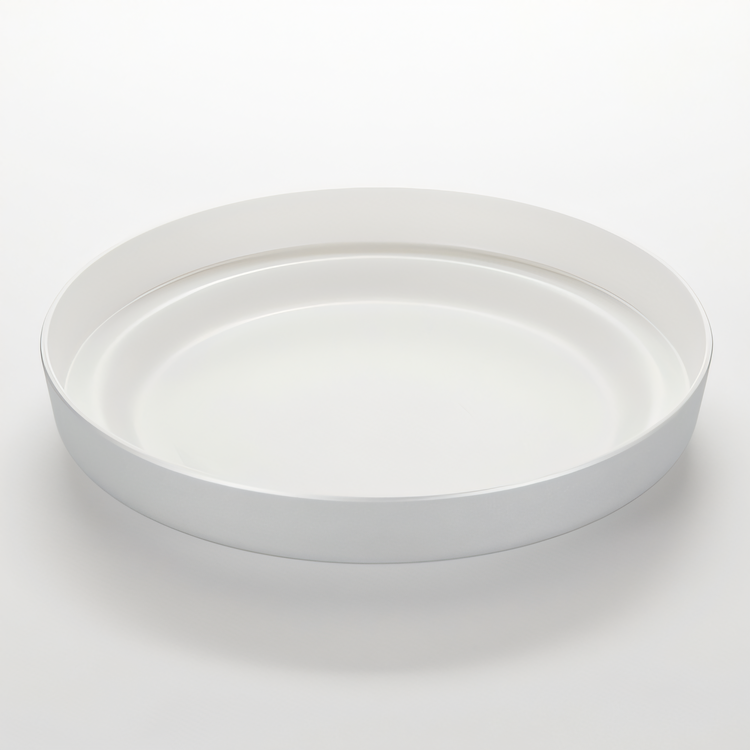 Product image #1 for American Metalcraft 13-Inch Round Silver Melamine Seafood Tray