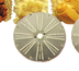 Thumbnail image #1 for Eurodib USA DTV Eurodib Food Processors