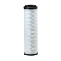 Everpure CG5-10S Replacement Water Filter Cartridge, 6,000 Gallons, 1.67 GPM