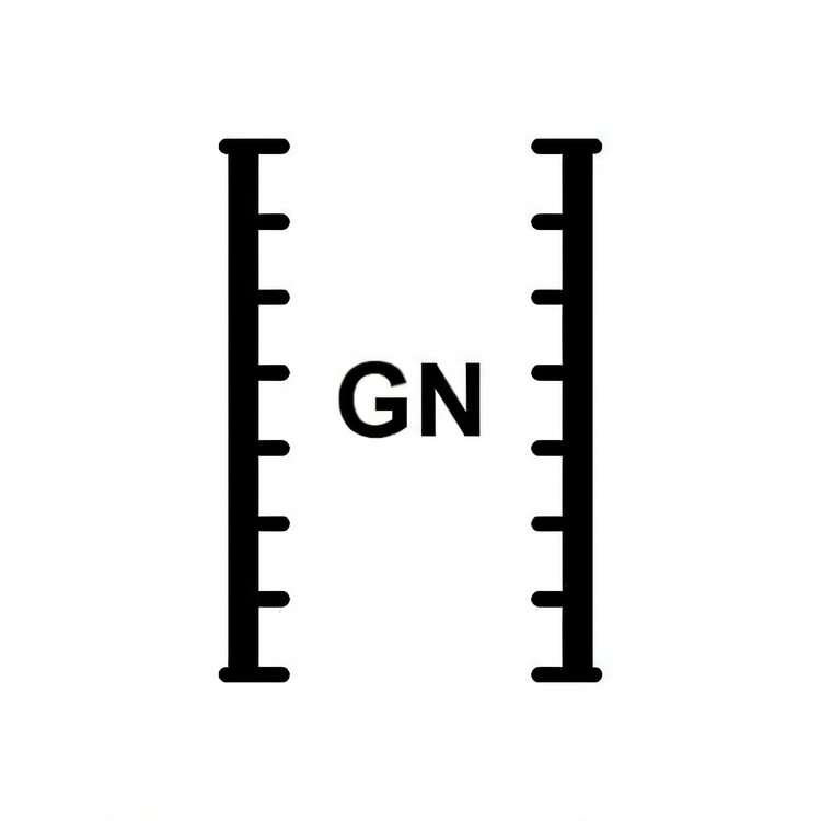 Product image #1 for Lainox GN 1/1 Extra Shelf Rack Accessory for BGP110