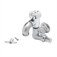 T&S Brass Wall-Mount Single-Temperature Sill Faucet with Vacuum Breaker and Garden Hose Outlet, Rough Chrome