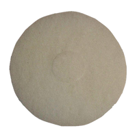 Bissell Big Green Commercial 437.051BG Floor Buffer Pads & Brushes