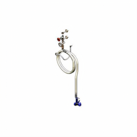 T&S Brass Single-Temperature Wall-Mount Chrome-Plated Washdown Station with 1/2