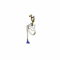 T&S Brass Wall-Mount Washdown Station with 1/2