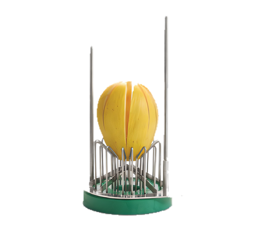 Product image #1 for Tellier 6-Wedge Melon Slicer