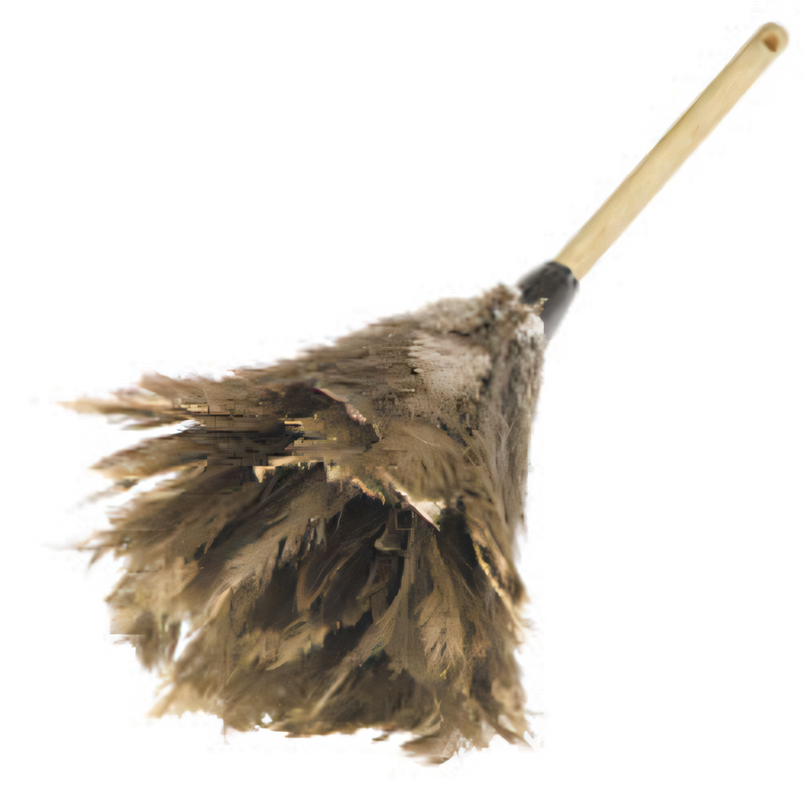 Product image #1 for Carlisle 24-Inch Feather Duster with Wood Handle