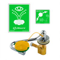 Deck-Mounted Swing-Away Eyewash Station with Pull-Down Eye/Face Wash