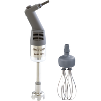 Robot Coupe Mini Power Mixer Combi Immersion Blender with 8-Inch Shaft and Whisk, 120V