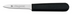 Thumbnail image #2 for Dexter Russell TM03 CoreCut Peeling & Paring Knives Case of 12