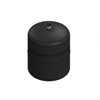 Everpure BTA-2L 2.0 Liter Black Buffer Tank for 16 Gallon Storage Tank