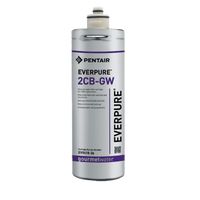 Everpure 2CB-GW Replacement Carbon Block Water Filter Cartridge, 3,000 Gallon Capacity, 0.5 GPM