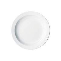 Winco BPR-725NR Birkhall Standard Plates Case of 3