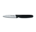 Thumbnail image #1 for Dexter Russell 31438 Basics Peeling & Paring Knives