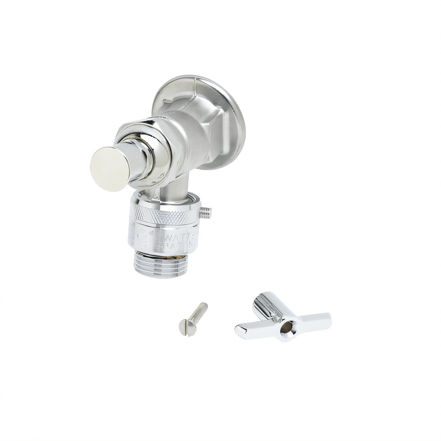 Product image #1 for T&S Brass Sill Faucet with Vacuum Breaker, Loose Key Handle, and 3/4-Inch Female Inlet
