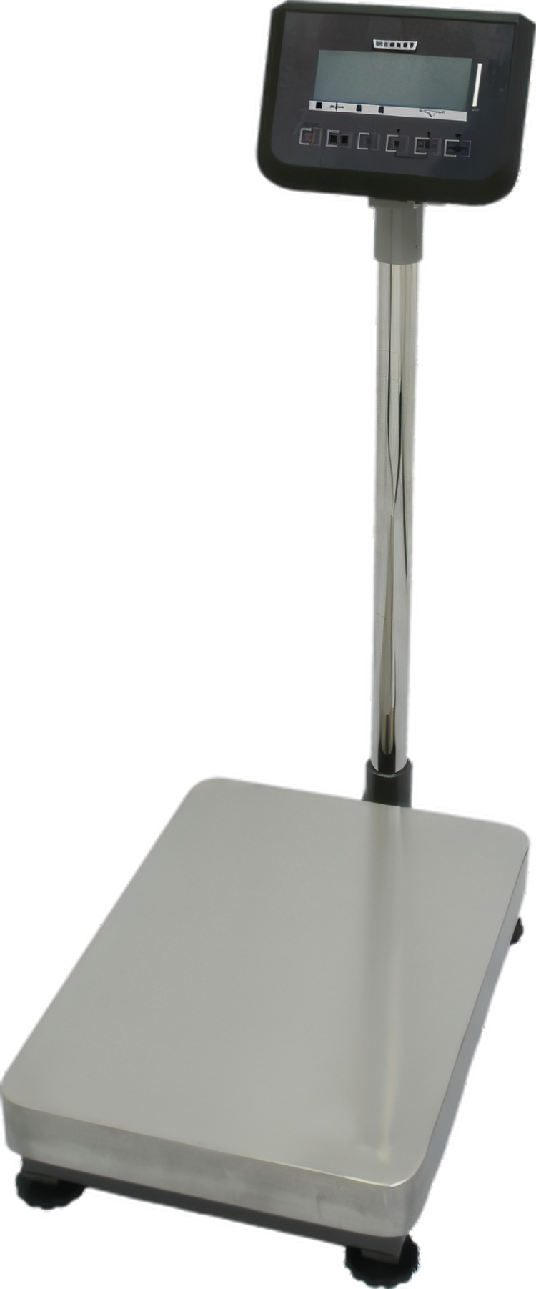 Product image #1 for Hobart Weigh/Wrap Legal-for-Trade Bench Receiving Scale, 300 lb x 0.1 lb, 90° Rotating Display