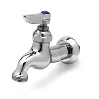 T&S Brass B-0717 Heavy-Duty Single Sink Wall-Mount Faucet with Lever Handle, 1/2