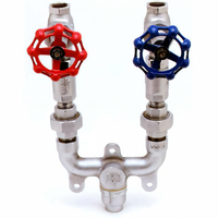 T&S Brass 3/4 Inch Chrome-Plated Brass Mixing Valve Assembly for Washdown Stations