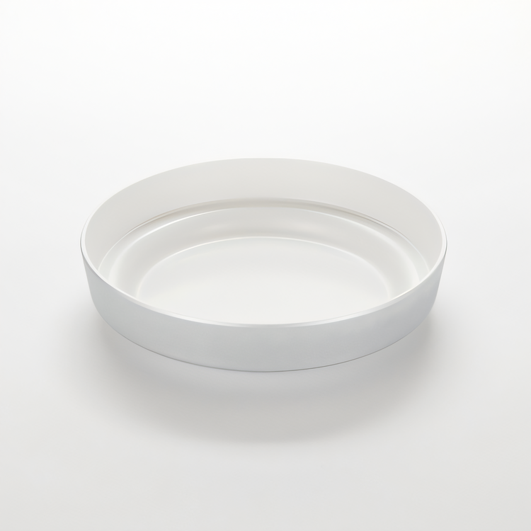 Product image #1 for American Metalcraft MSEA10S 10-Inch Silver Melamine Seafood Tray