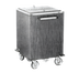 Thumbnail image #1 for Mobile Insulated Ice Cart with Stainless Steel Top and Sliding Lid, 200 lb Capacity, Laminate Exterior