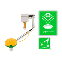 T&S Brass Sink-Mounted Pull-Down Eyewash Station with Deck or Wall Mount Option