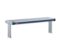 Hatco Glo-Ray Designer Dual Strip Heat Lamp with Lights, 27-1/2 Inch Wide, Aluminum, 820 Watts