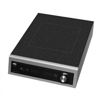 Hatco Boxer Countertop Single Burner Induction Buffet Warmer