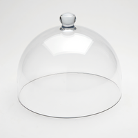 Lift 11-Inch Round Clear Polycarbonate Dome Cover