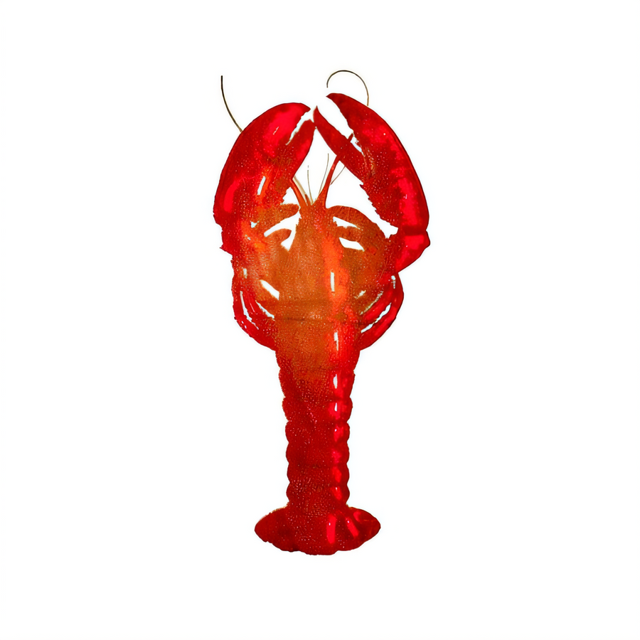 Product image #1 for Disco, Inc 303D Disposable Bibs