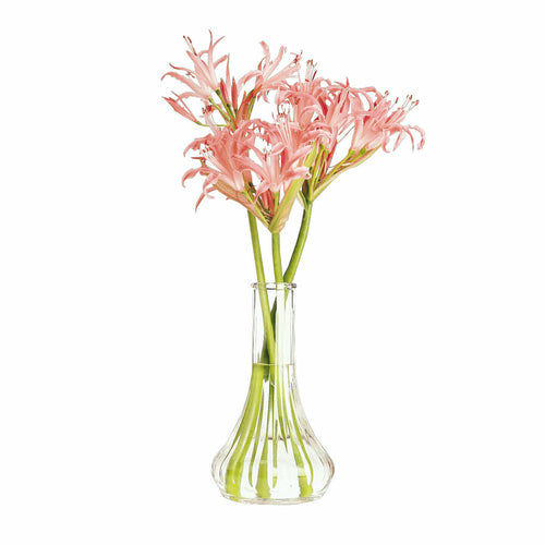 Product image #1 for Cambro BV6CW135 Camwear® Bud Vase Case of 12