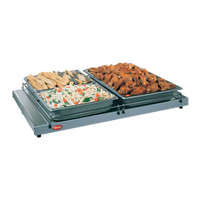 Hatco Glo-Ray 24-Inch W x 9-3/4-Inch D Free-Standing Heated Shelf with Adjustable Thermostat and Stainless Steel Top