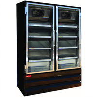 Howard-McCray Two-Section Black Glass Door Reach-In Freezer Merchandiser, 42 Cu. Ft., Bottom Mount