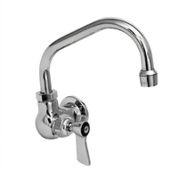 Fisher ADA-Compliant Wall-Mount Single-Hole Faucet with 12-Inch Swing Spout and Lever Handle, Stainless Steel