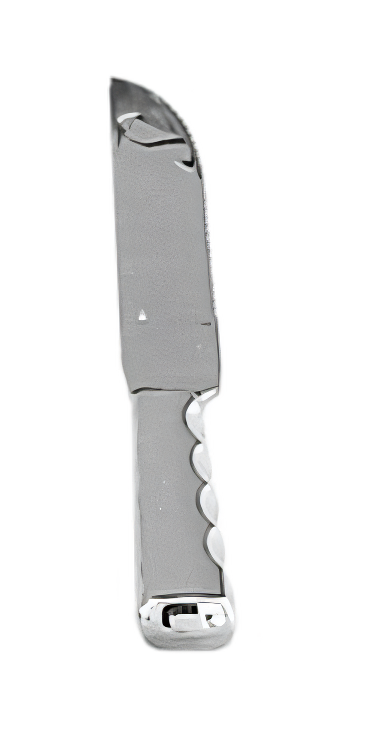 Product image #1 for Vollrath Hollow-Handle Buffetware Stainless Steel Carving Knife, 12-3/4 Inch Overall Length, 8-Inch Blade