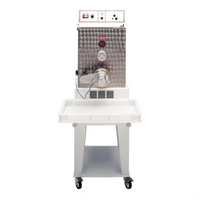 Avancini La Pastaia TR95 Floor Model Electric Pasta Extruder