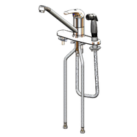 T&S Brass Low-Lead Single-Lever Deck-Mount Faucet with 48-Inch Side Spray, 8-Inch Centers