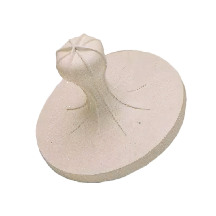 Product image #1 for Waring CAC76 Food Prep Parts & Accessories