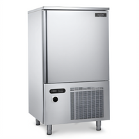 Gemm Commercial Reach-In Single-Section Blast Chiller/Freezer, 10 Full-Size Pan Capacity, Self-Contained, 208-230V