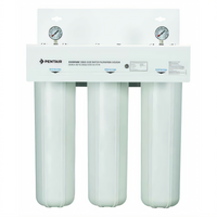 Everpure CB20-312E Twin-Cartridge High-Capacity Carbon Water Filtration System
