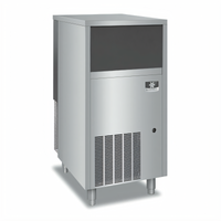 Manitowoc Flake Ice Machine with 50 lb Bin, Air-Cooled, 257 lb/Day Production
