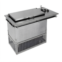 Glastender Drop-In Ice Cream Freezer with Dipper Well, Self-Contained, 2 x 3-Gallon Capacity