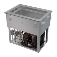 Vollrath Hot/Cold/Frozen 1-Well Modular Drop-In Food Well with Auto Drain and Flat Flange, 120V