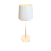 Thumbnail image #1 for Compact LED Rechargeable Table Lamp with Touch Controls and Dual Color Temperature